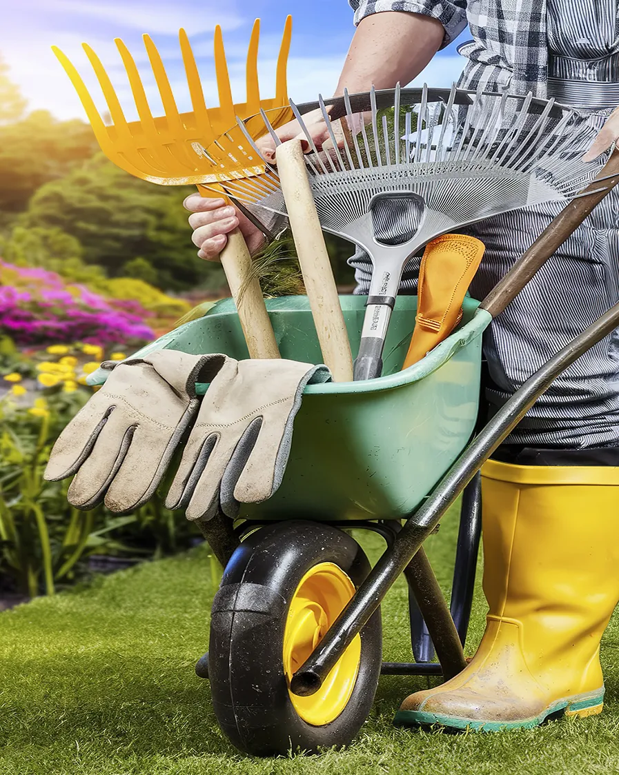 SP Manutenção de Jardim