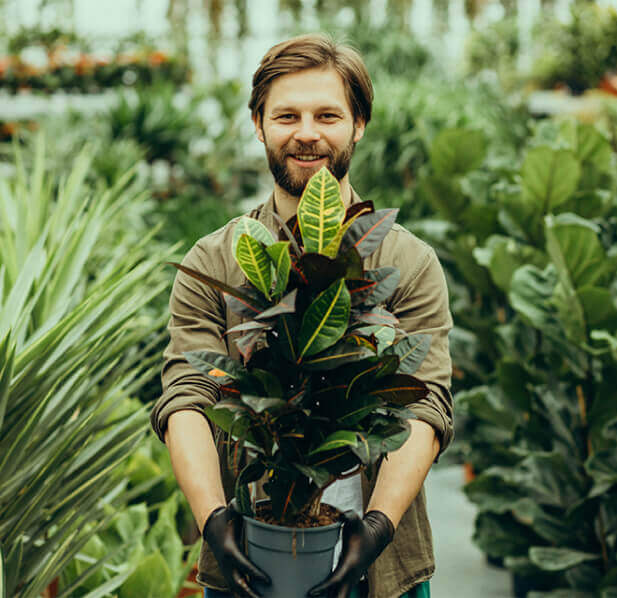 SP Manutenção de Jardim