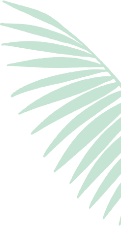 SP Manutenção de Jardim