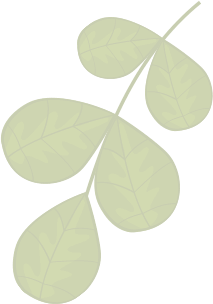 SP Manutenção de Jardim