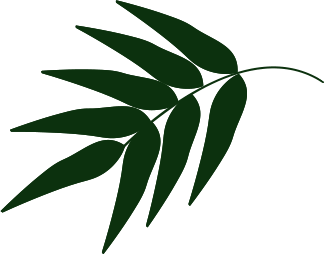 SP Manutenção de Jardim