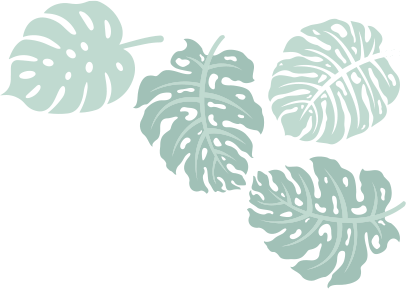 SP Manutenção de Jardim