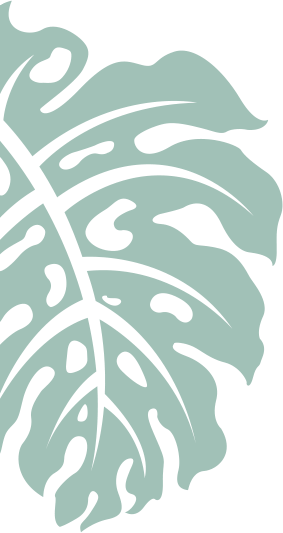 SP Manutenção de Jardim