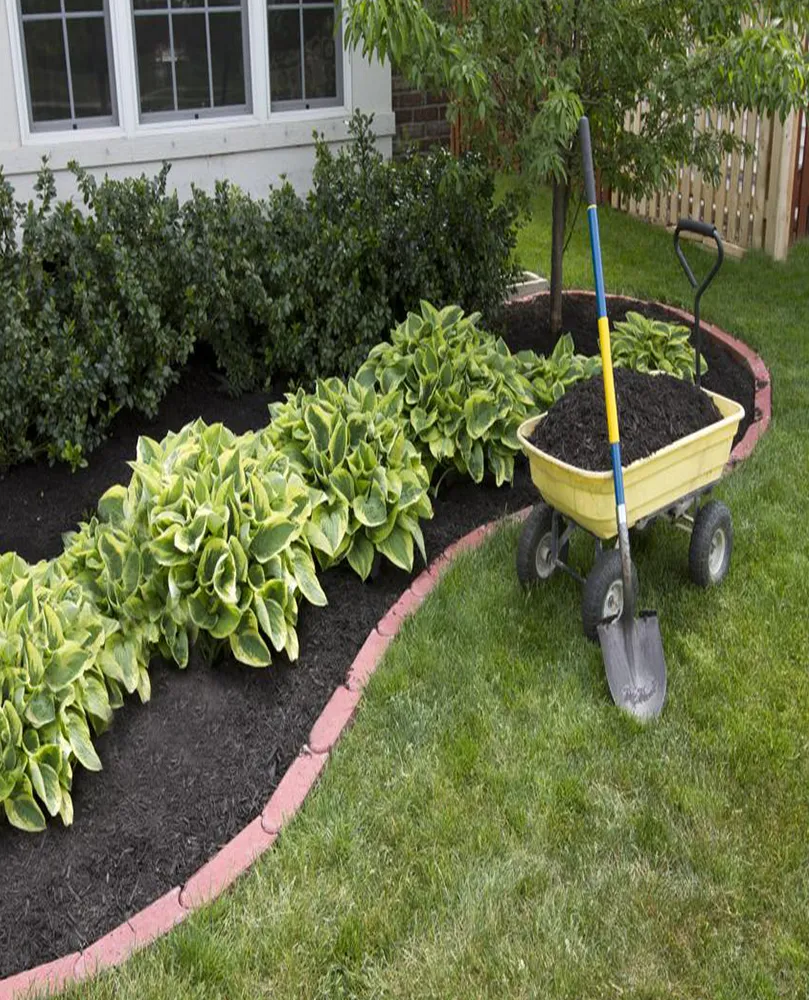 SP Manutenção de Jardim