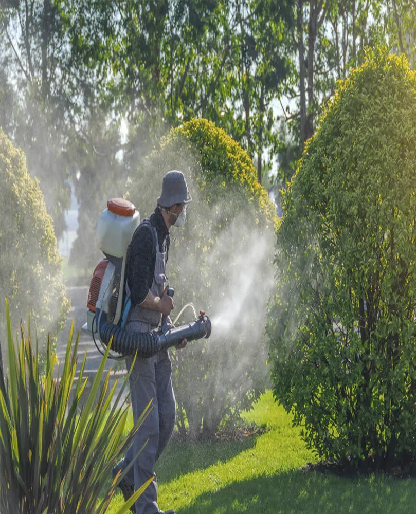 SP Manutenção de Jardim